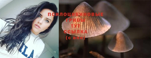спиды Богородицк