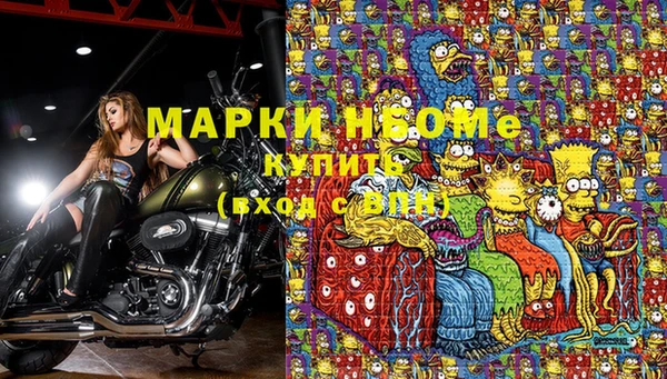 экстази Бородино