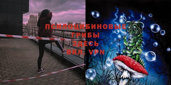 бошки Богданович