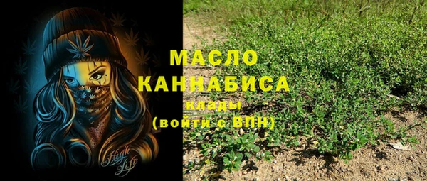 индика Сафоново