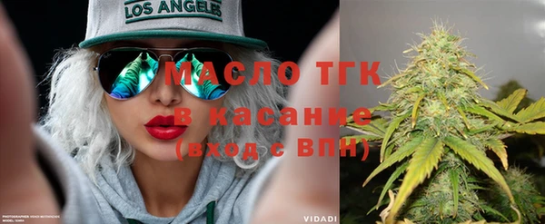 индика Сафоново