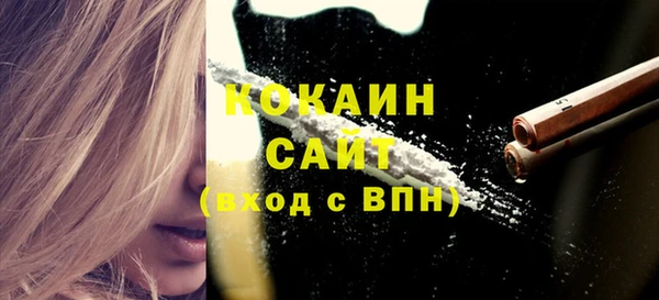 индика Сафоново